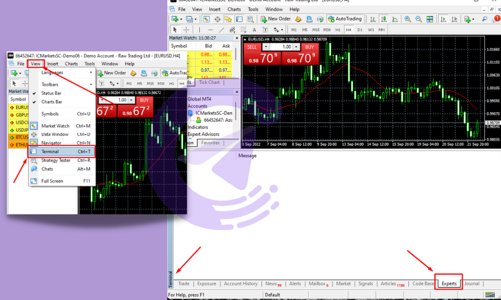 TSC forex copier trading