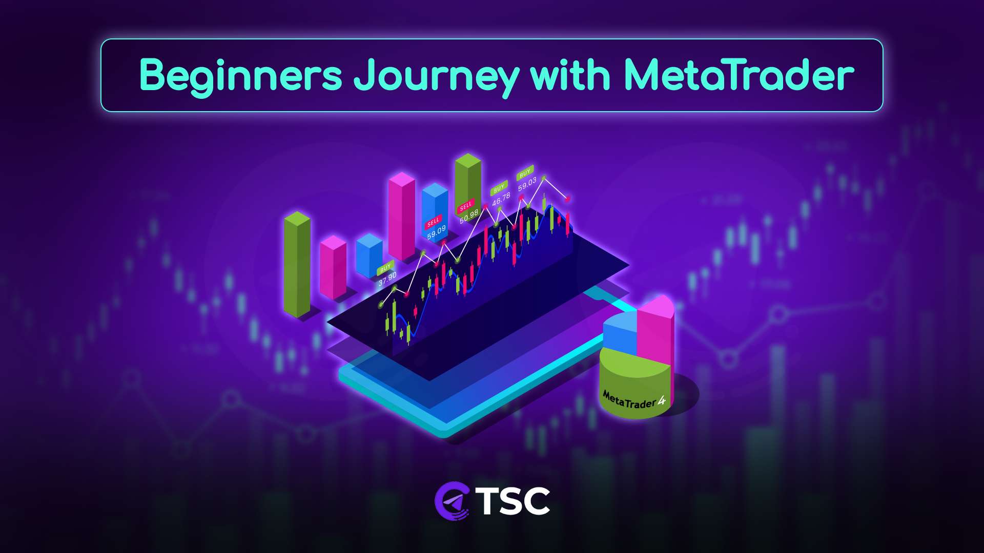 Forex platform and graph showing beginners journey with metatrader