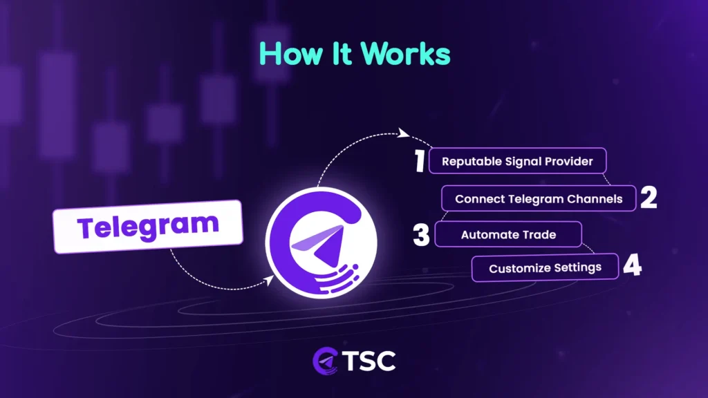 How Crypto Copy Trading Works