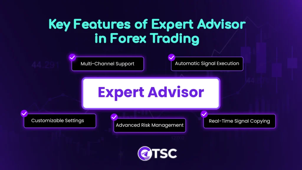 features of expert advisor in forex copy trading